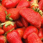 fragole fragole