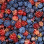 frutti-di-bosco