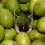 nocino nocino