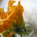 fiori di zucca fritti
