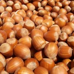 Hazelnut Hazelnut