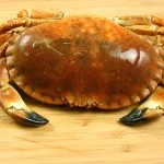 linguinegra_450ingr