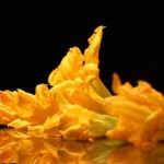 Frittata con fiori di zucca