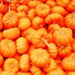 Zucca