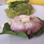 Palamita Palamita