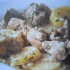 Agnello in spezzatino con patate lesse