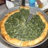 Torta salata ricotta e spinaci