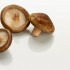 Come pulire i funghi porcini