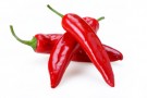 Salsa Harrisa Salsa Harrisa