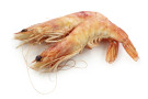 Scampi alla busara Scampi alla busara