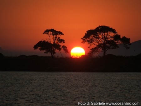 Un Calice in Laguna a Marsala