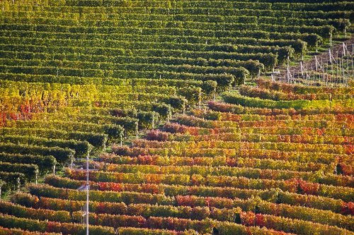 Cucina delle Langhe