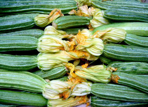 Antipasto di zucchine alla calabrese