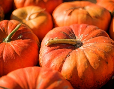 Come cucinare la zucca