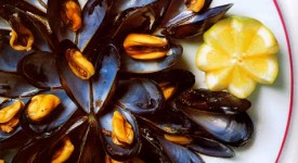 Cozze alla birra bianca