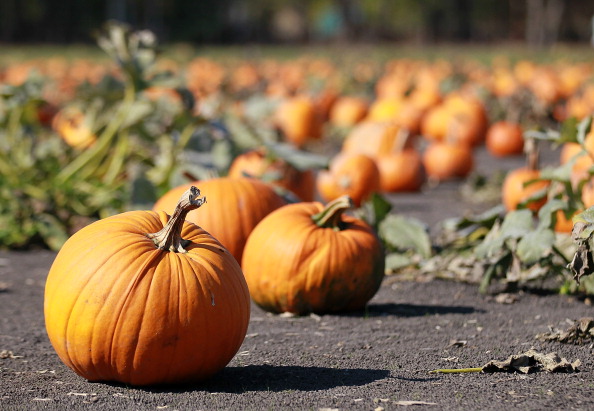 Vellutata di zucca