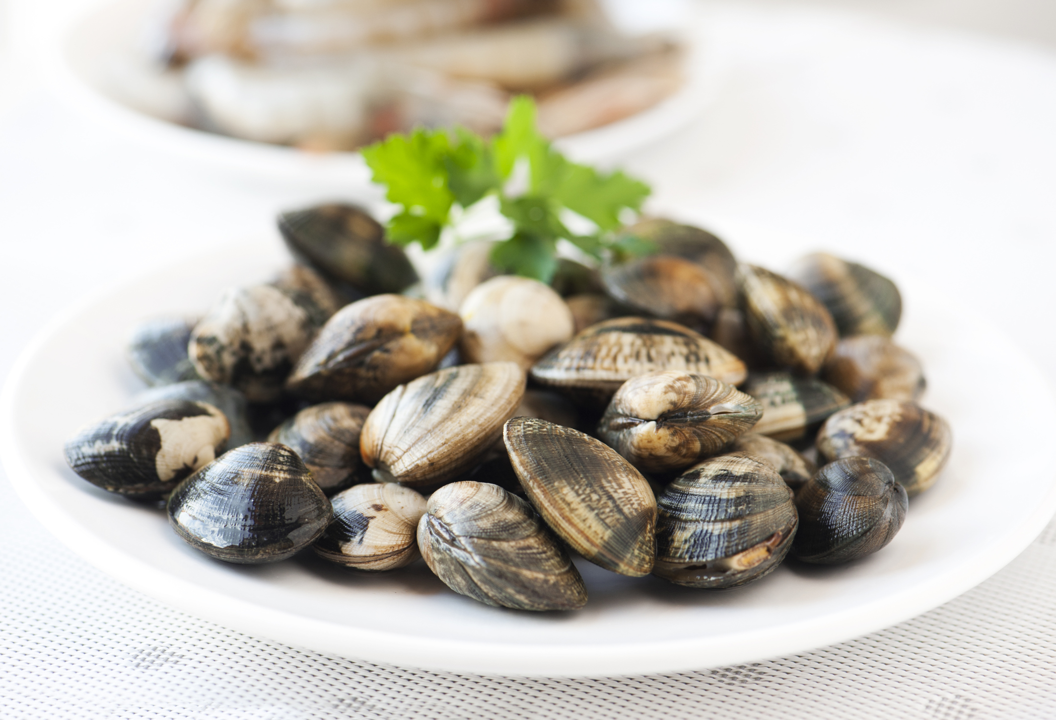 Malloreddus con vongole, pomodorini e bottarga di tonno