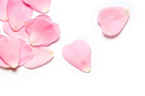 Torta con petali di rosa brinati per la Festa della Mamma