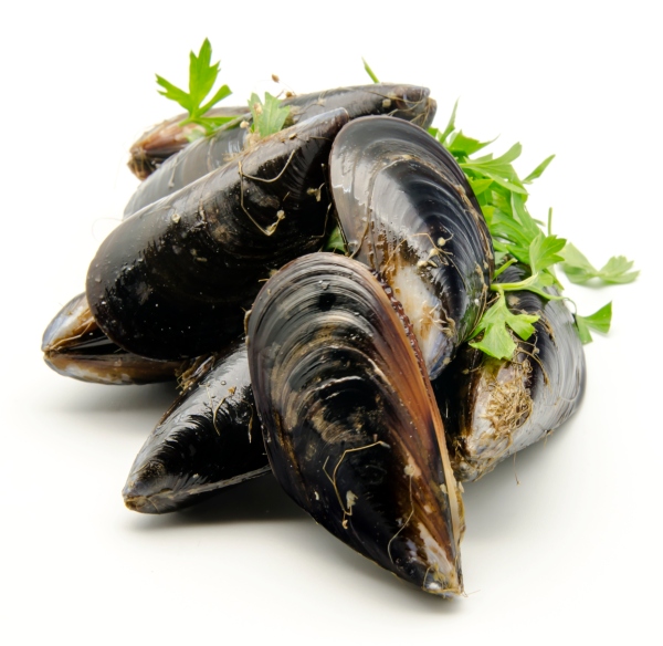 Crostini di cozze e pomodorini ciliegino