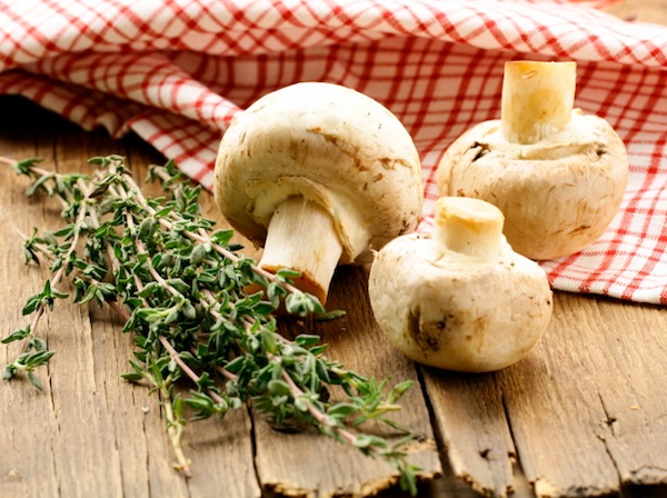 Ricette pasta - Rigatoni al gratin con funghi e mozzarella
