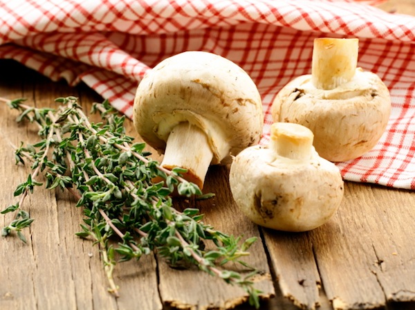 Penne funghi porcini e salsiccia