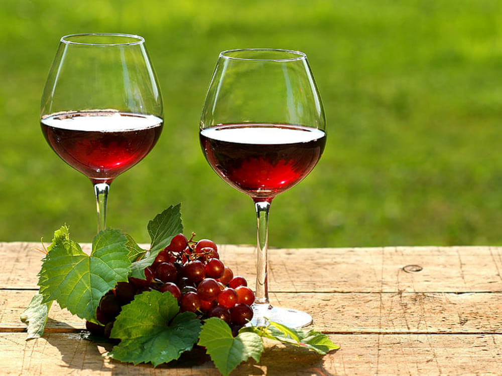 Vino rosso: tutte le proprietà ed i benefici di questa bevanda